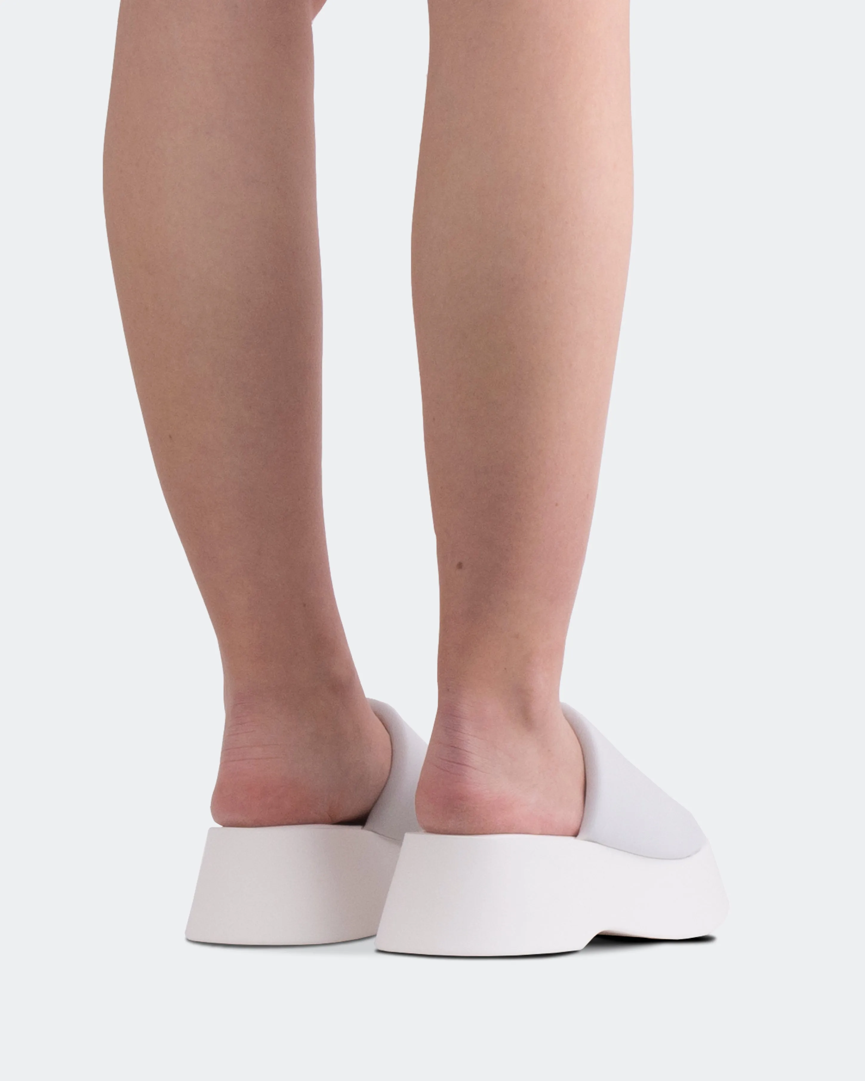 Lycra Blanc Liu