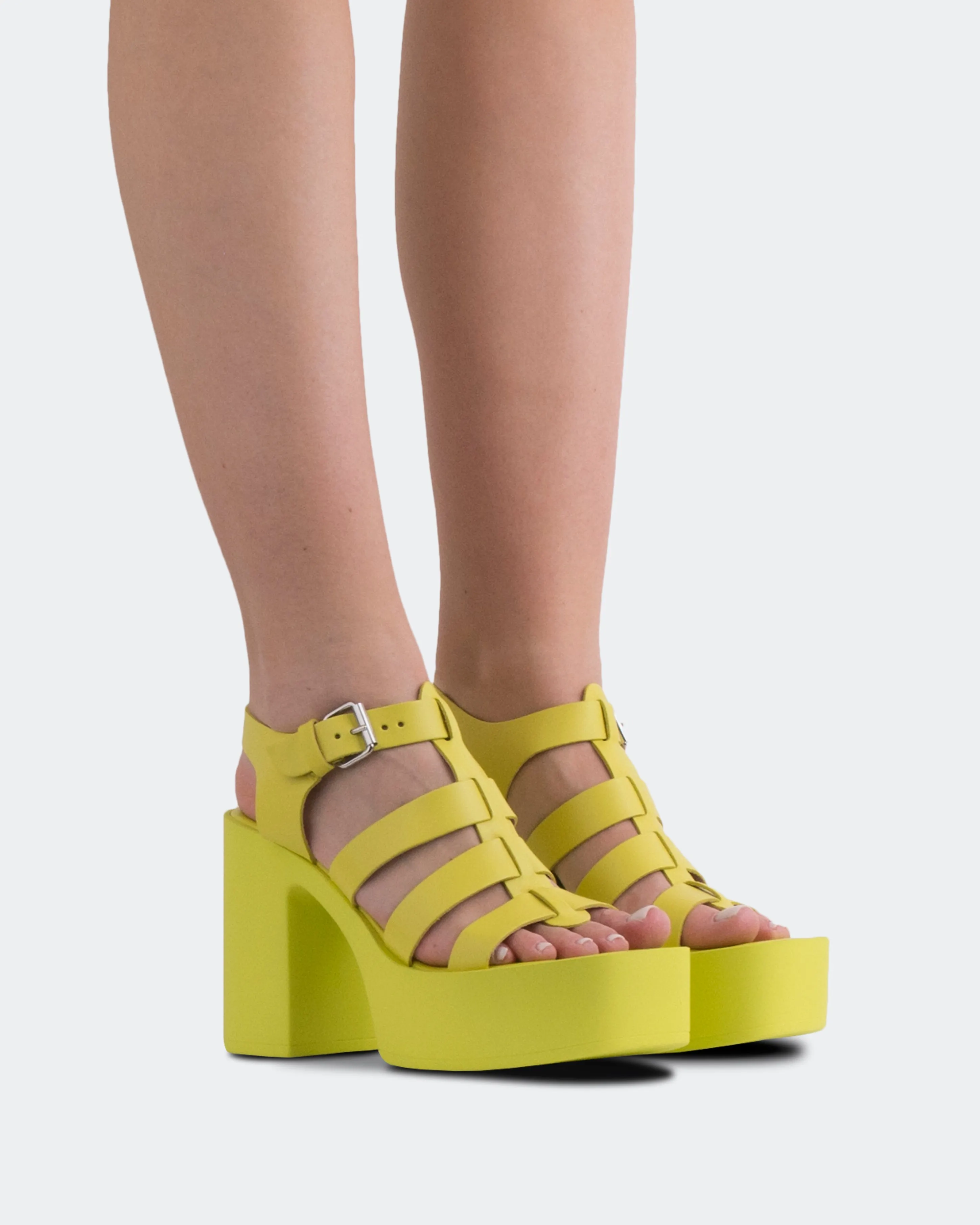 Loup Cuir Jaune