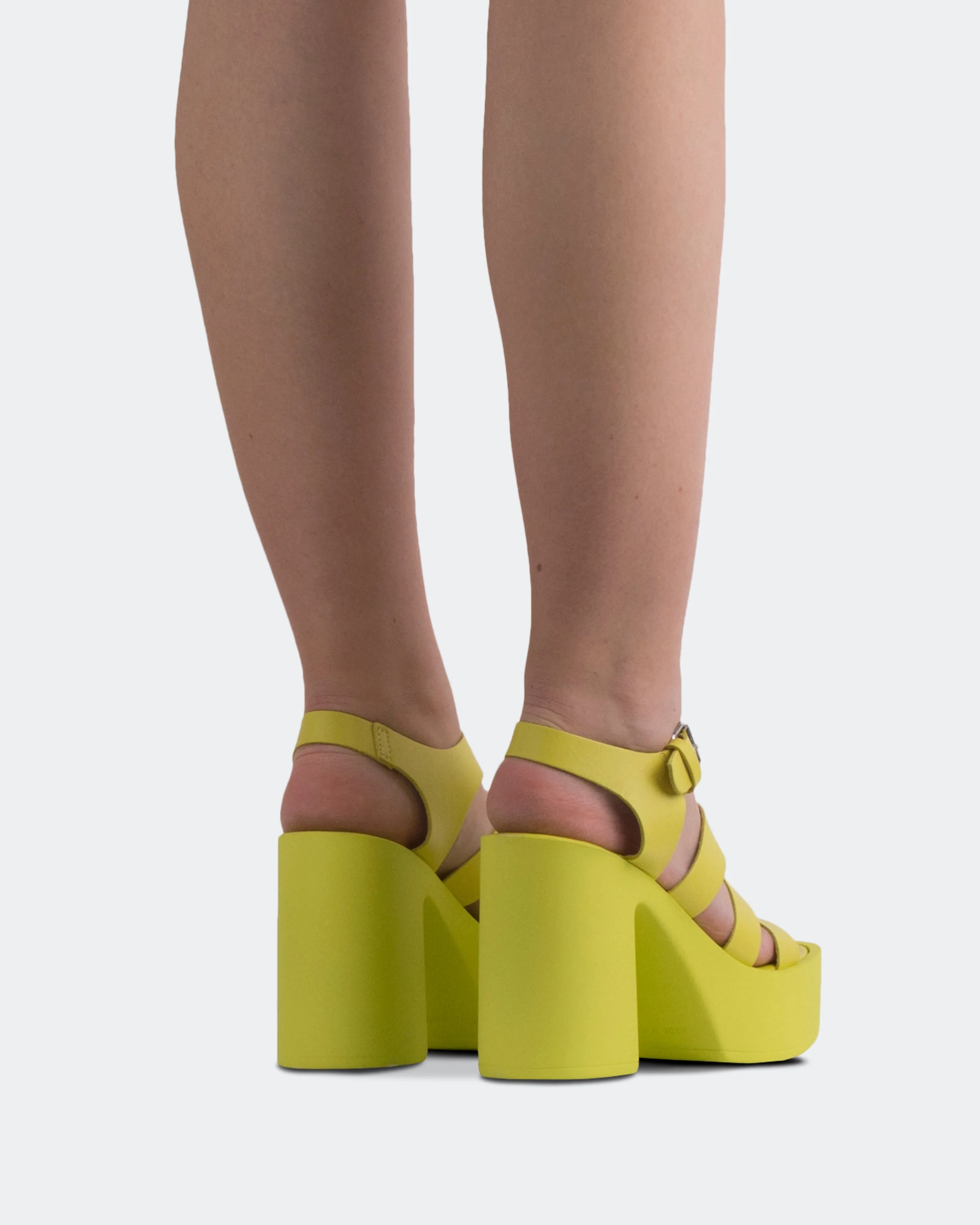 Loup Cuir Jaune