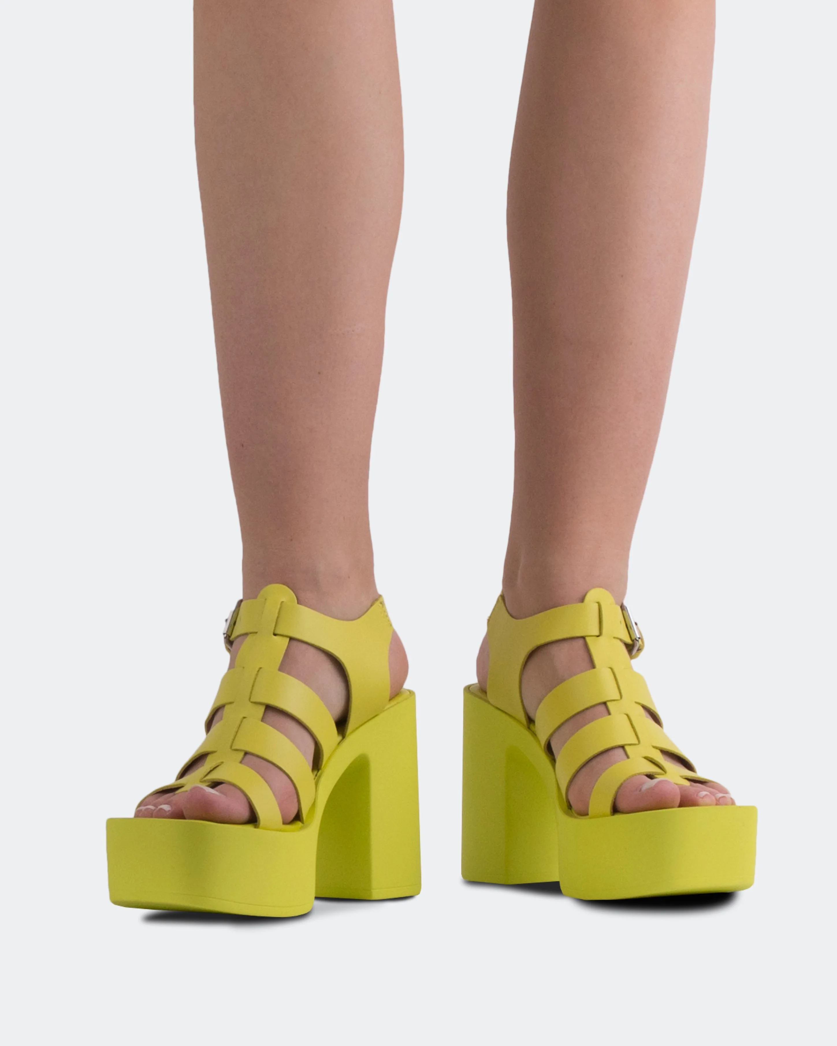 Loup Cuir Jaune
